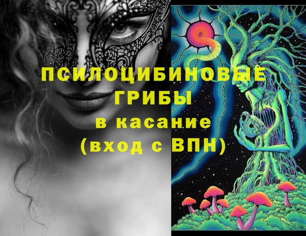 соль ск Приозерск