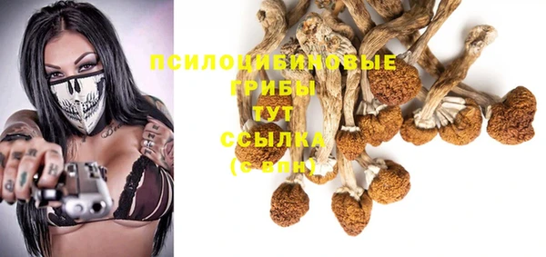соль ск Абинск
