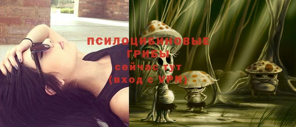 гидропоника Пролетарск