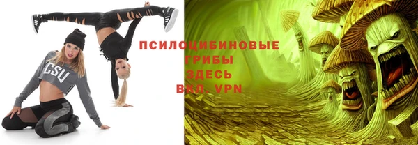 бошки Абаза