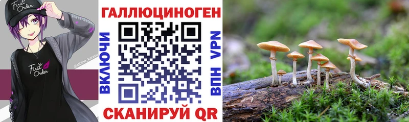 Галлюциногенные грибы мицелий  гидра онион  Красновишерск 